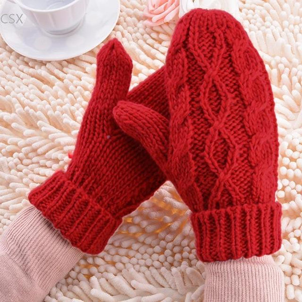 Shipping Warm Winter Gloves